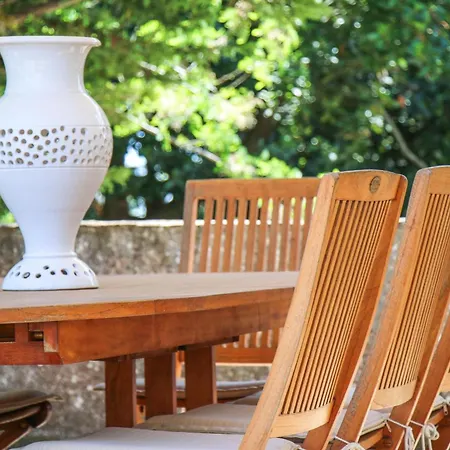 Starace - Buongiorno *