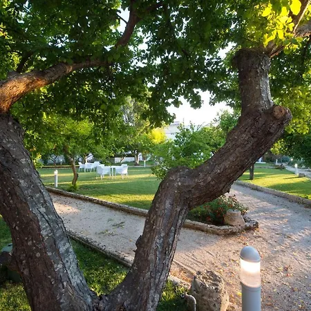 Starace - Buongiorno * Sannicola