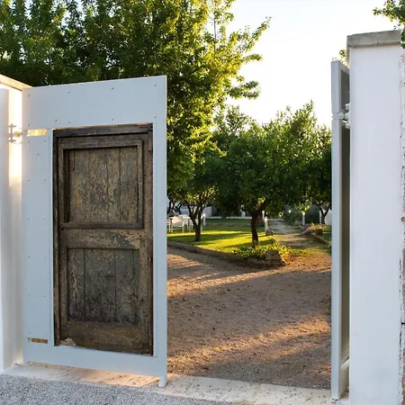 Starace - Buongiorno Sannicola